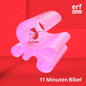 11 Minuten Bibel – ein Meinungsaustausch