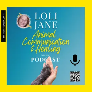 Episode #12: Animal Communication Q & A
