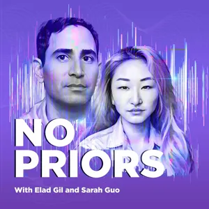 Big tech earnings and the current AI debates, with Sarah Guo and Elad Gil