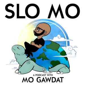 Mo Gawdat (Part 2) -  Mo's Lessons Learned from Guests on Slo Mo in 2020